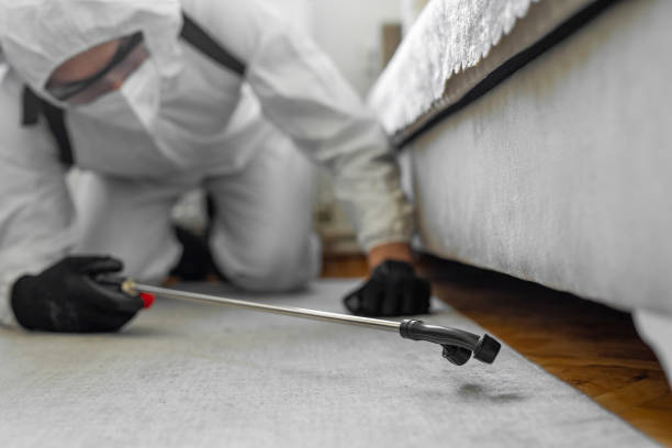Professional Bed Bug Control technician working in Garden Acres, CA